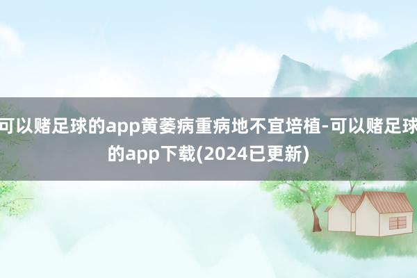 可以赌足球的app黄萎病重病地不宜培植-可以赌足球的app下载(2024已更新)