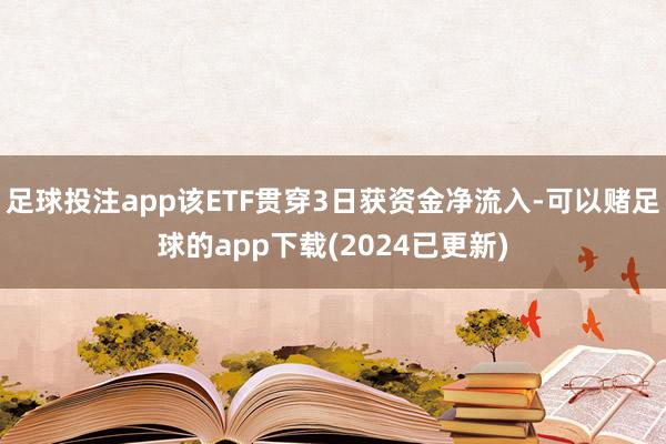 足球投注app该ETF贯穿3日获资金净流入-可以赌足球的app下载(2024已更新)