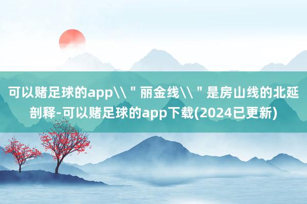 可以赌足球的app\＂丽金线\＂是房山线的北延剖释-可以赌足球的app下载(2024已更新)