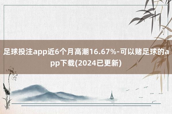 足球投注app近6个月高潮16.67%-可以赌足球的app下载(2024已更新)