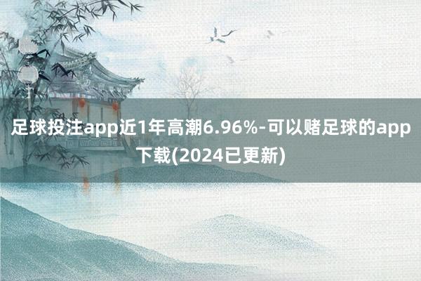 足球投注app近1年高潮6.96%-可以赌足球的app下载(2024已更新)