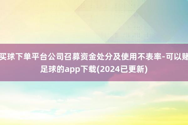 买球下单平台公司召募资金处分及使用不表率-可以赌足球的app下载(2024已更新)