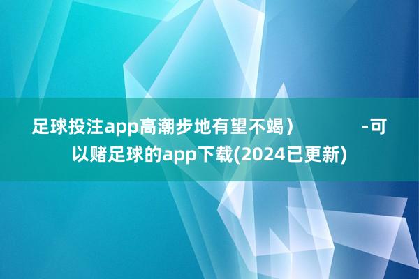 足球投注app高潮步地有望不竭）            -可以赌足球的app下载(2024已更新)