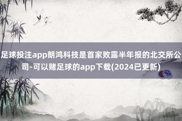 足球投注app朗鸿科技是首家败露半年报的北交所公司-可以赌足球的app下载(2024已更新)