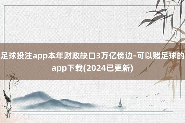 足球投注app本年财政缺口3万亿傍边-可以赌足球的app下载(2024已更新)