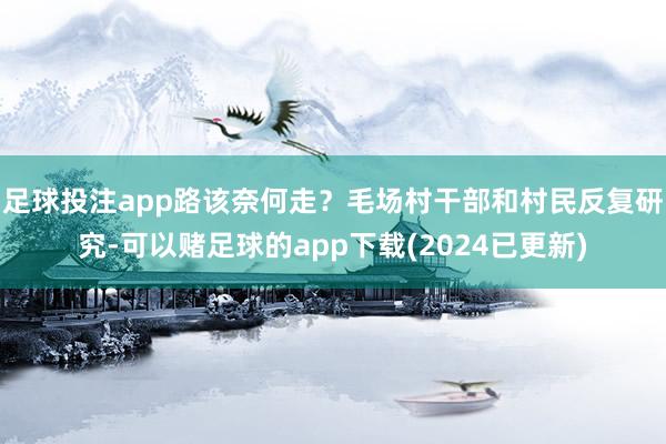 足球投注app路该奈何走？毛场村干部和村民反复研究-可以赌足球的app下载(2024已更新)