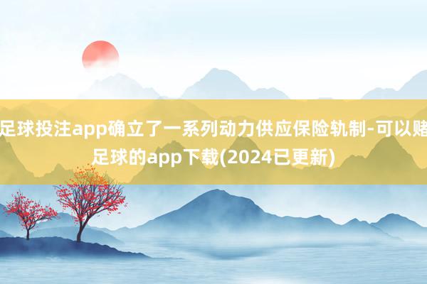 足球投注app确立了一系列动力供应保险轨制-可以赌足球的app下载(2024已更新)