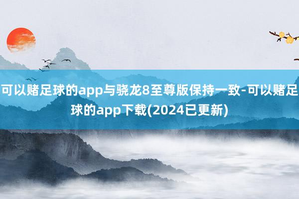 可以赌足球的app与骁龙8至尊版保持一致-可以赌足球的app下载(2024已更新)