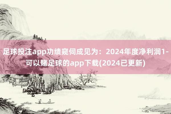 足球投注app功绩窥伺成见为：2024年度净利润1-可以赌足球的app下载(2024已更新)