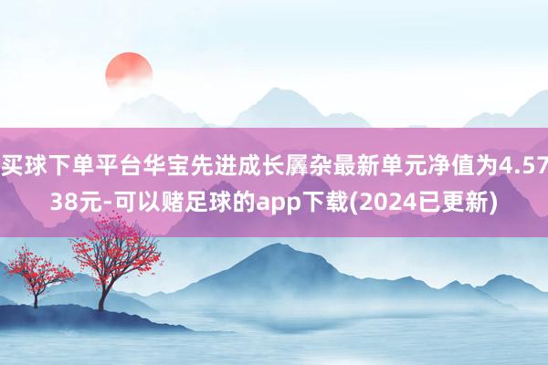 买球下单平台华宝先进成长羼杂最新单元净值为4.5738元-可以赌足球的app下载(2024已更新)