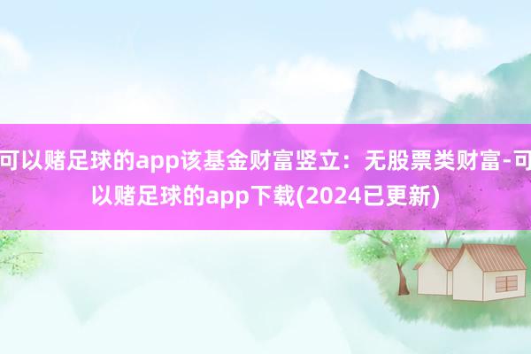 可以赌足球的app该基金财富竖立：无股票类财富-可以赌足球的app下载(2024已更新)