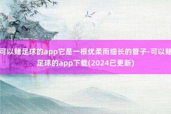 可以赌足球的app它是一根优柔而细长的管子-可以赌足球的app下载(2024已更新)