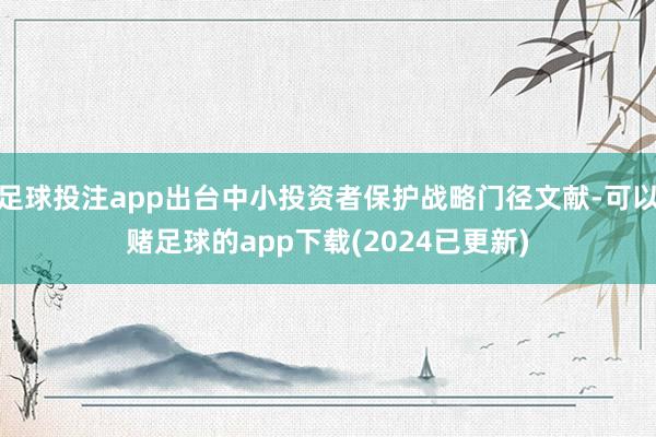 足球投注app出台中小投资者保护战略门径文献-可以赌足球的app下载(2024已更新)