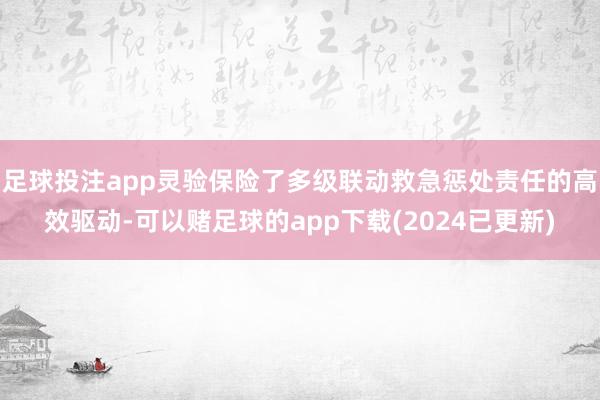 足球投注app灵验保险了多级联动救急惩处责任的高效驱动-可以赌足球的app下载(2024已更新)